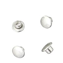 morepic-1
