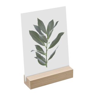 Porte-carte bois null | null | 100 mm | null