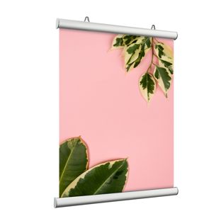 Profils porte-affiches, aluminium, clippants 1000 mm | argent 