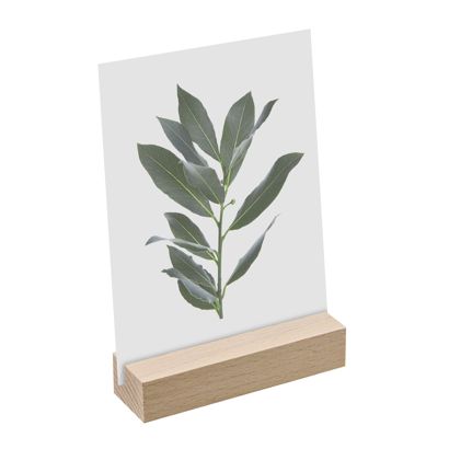 Porte-carte bois null | null | 100 mm | null