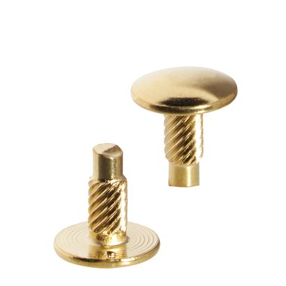 Têtes avec tige filetée pour vis de reliure, 6 mm, laiton 