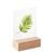 Porte-carte bois null | null | 60 mm | null