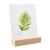 Porte-carte bois null | null | 100 mm | null
