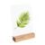 Porte-carte bois null | null | 100 mm | null