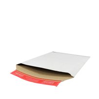 morepic-4