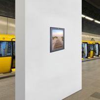 morepic-6